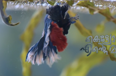 Kettiyolanu ente malakha movie