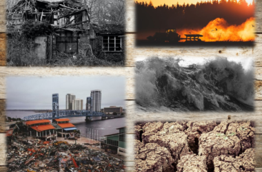 natures response