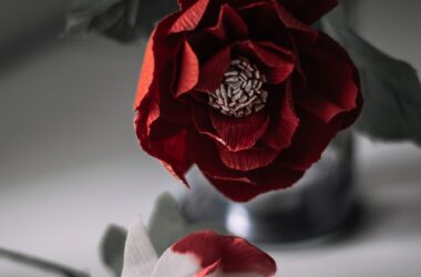 Can we resolve conflicts instead of causing blood shed?