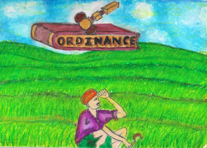 farm bill decoded, illustrated by Allan