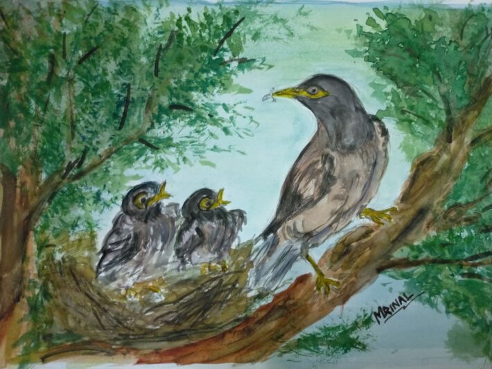 Mynah on tree painting by Mrinal