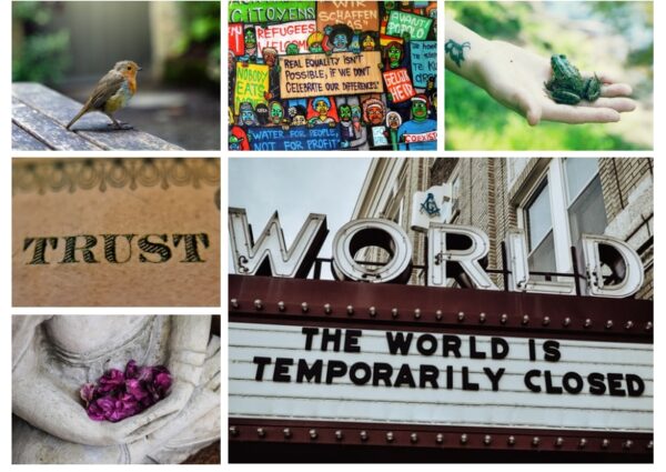 the contagion poem by mrinalini