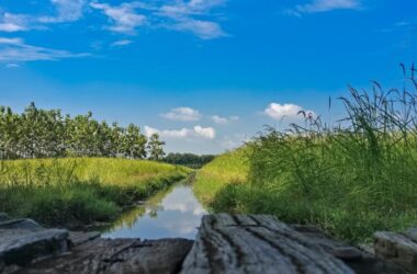 beauty of nature pic by Sengchuat Sangma