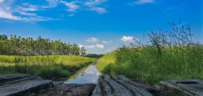 beauty of nature pic by Sengchuat Sangma