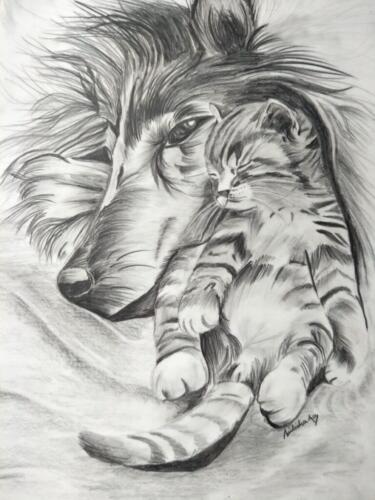 Cat secure with dog!