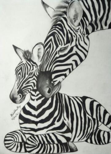 Zebra and its foal