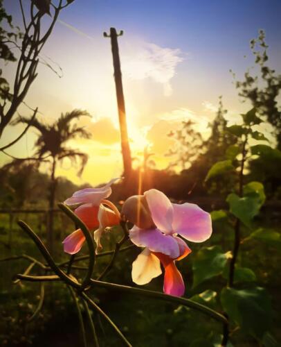 Wonders in imperfection