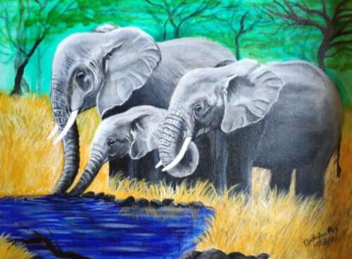 African Forest elephants