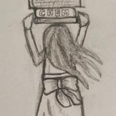 Education the horse race