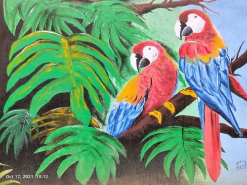Macaw Wall Art
